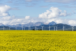 image of wind turbines on a sunny day on a green field against blue mountains