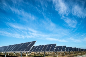 image of a solar panel farm installed into the ground